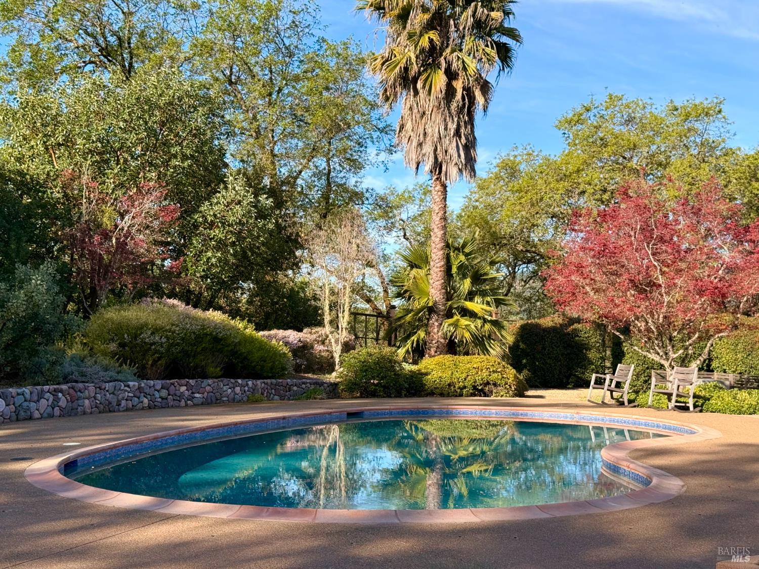12801 Valley View Drive Ukiah, CA 95482 - Photo 5 of 22 a view of swimming pool with lawn chairs and plants