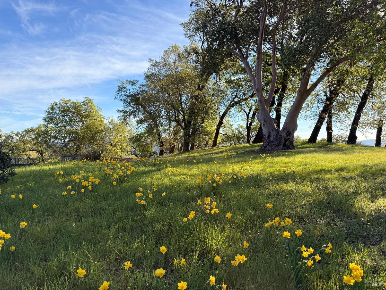 12801 Valley View Drive Ukiah, CA 95482 - Photo 8 of 22 a view of swimming pool with yard