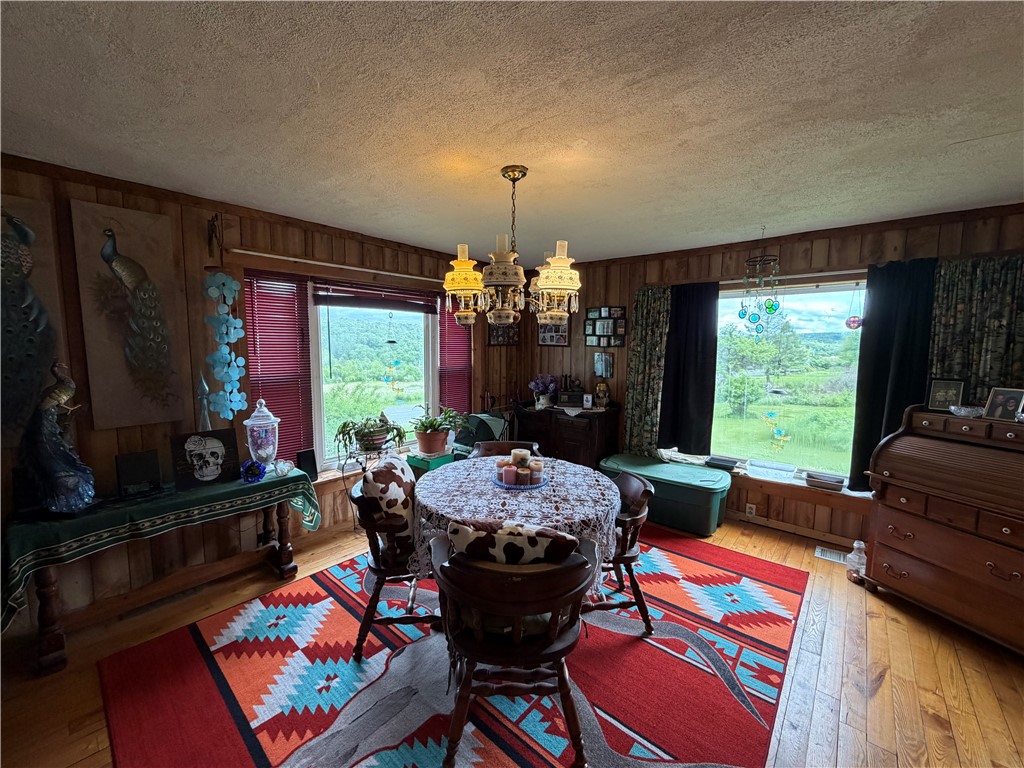 1211 Demunn Road Dix, NY 14812 - Photo 3 of 17 Open Dining Room