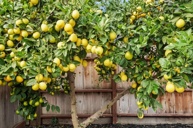 a house view with a seating space