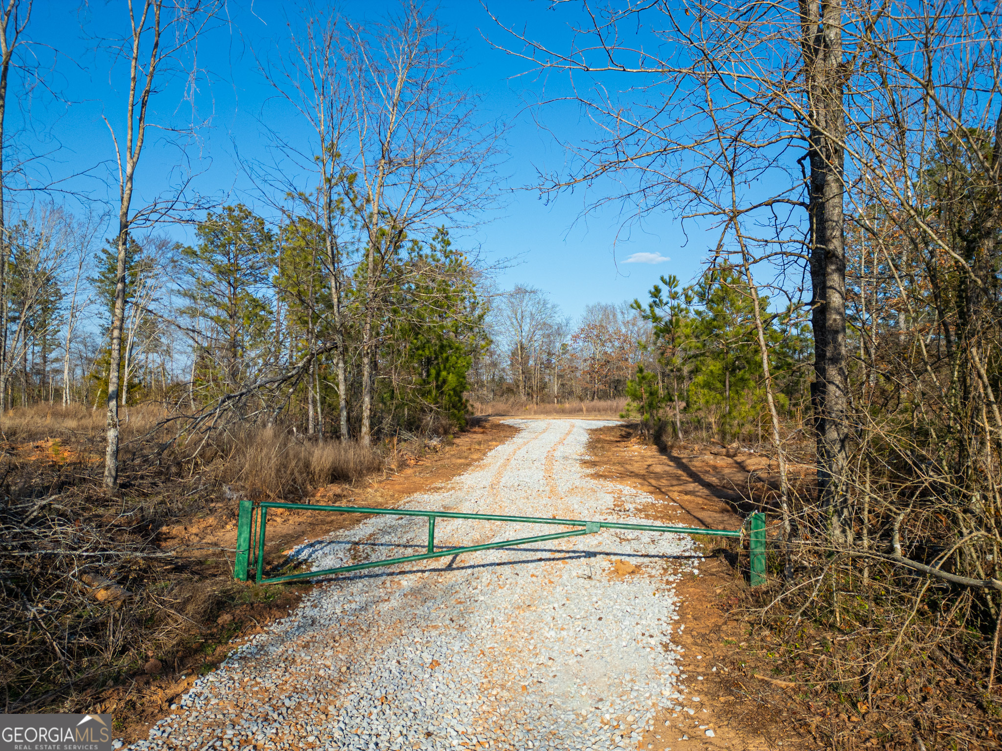 3 Smith Rocky Branch Road Carlton, GA 30627 - Photo 2 of 13