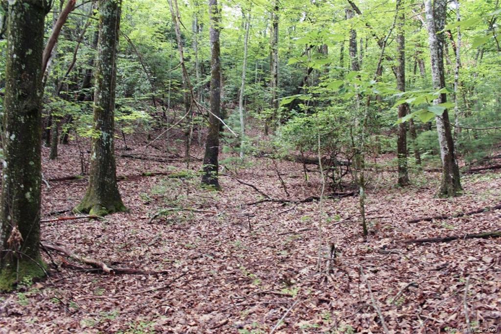5 Walnut Ridge Road, Unit 5 Brevard, NC 28712 - Photo 2 of 30 Gallery Image 2
