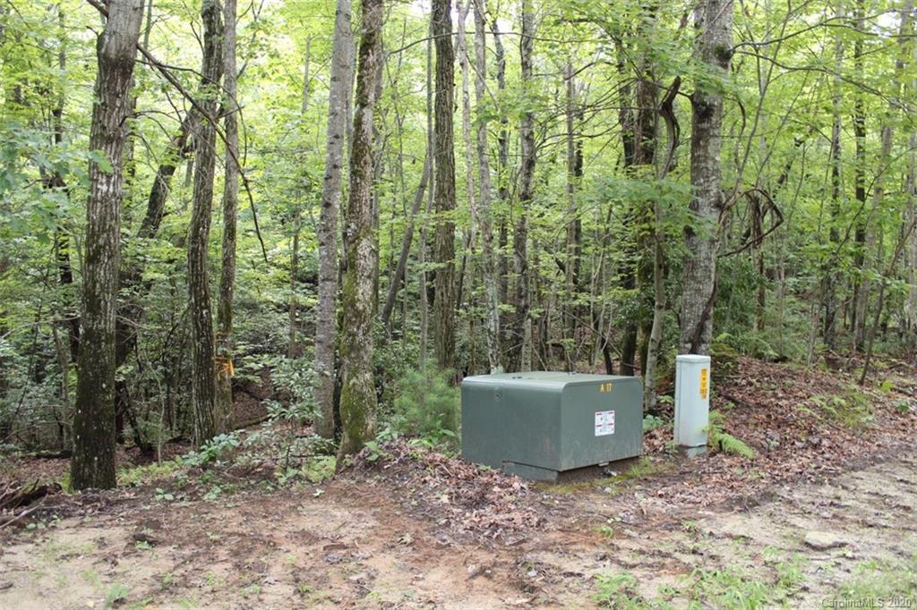 5 Walnut Ridge Road, Unit 5 Brevard, NC 28712 - Photo 16 of 30 Gallery Image 16