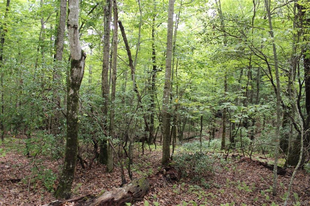 5 Walnut Ridge Road, Unit 5 Brevard, NC 28712 - Photo 19 of 30 Gallery Image 19