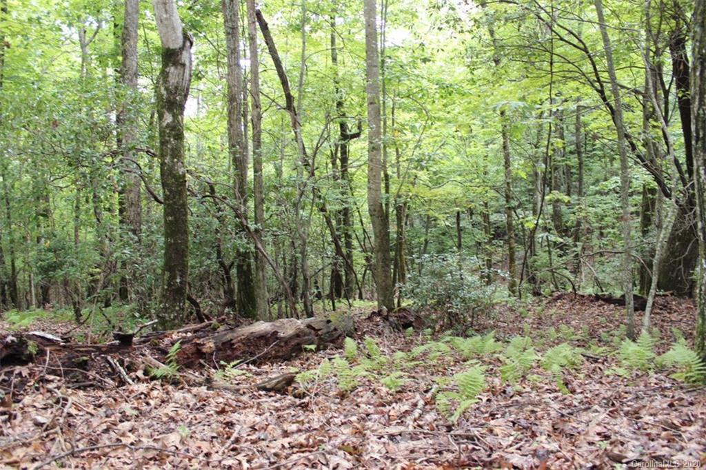 5 Walnut Ridge Road, Unit 5 Brevard, NC 28712 - Photo 20 of 30 Gallery Image 20