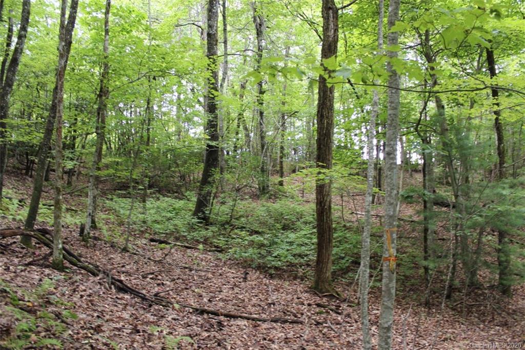 5 Walnut Ridge Road, Unit 5 Brevard, NC 28712 - Photo 22 of 30 Gallery Image 22