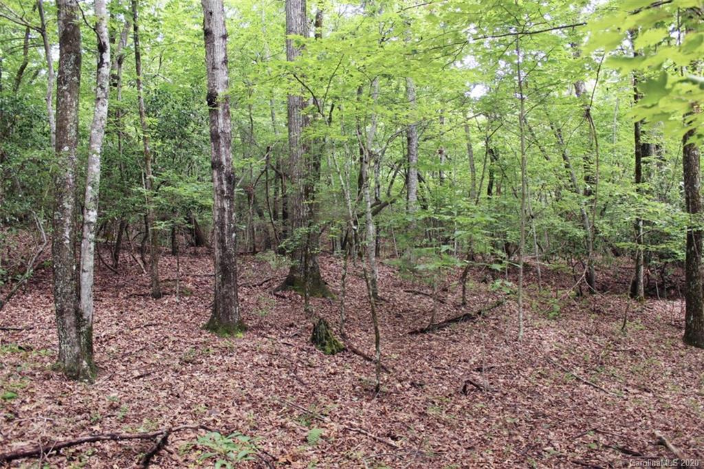 5 Walnut Ridge Road, Unit 5 Brevard, NC 28712 - Photo 24 of 30 Gallery Image 24