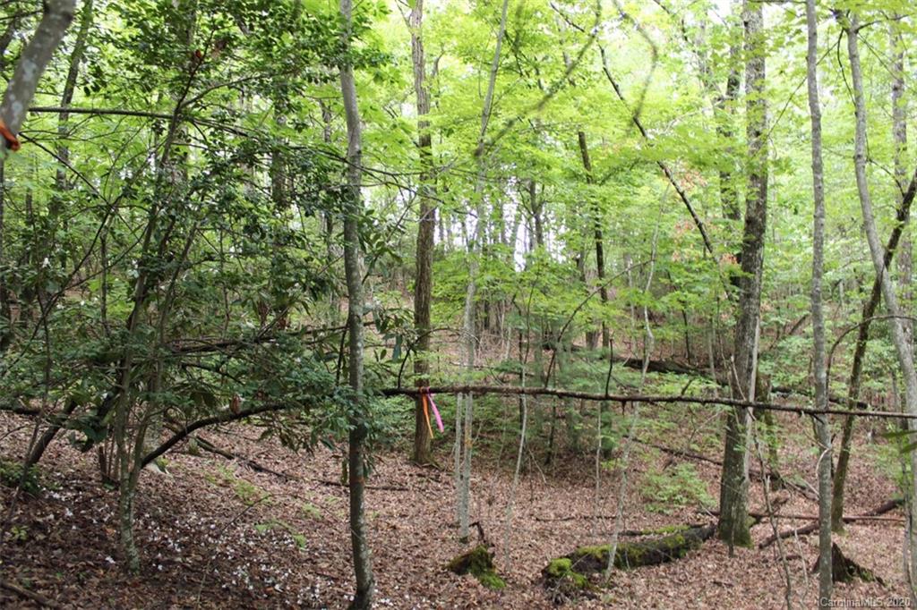 5 Walnut Ridge Road, Unit 5 Brevard, NC 28712 - Photo 26 of 30 Gallery Image 26
