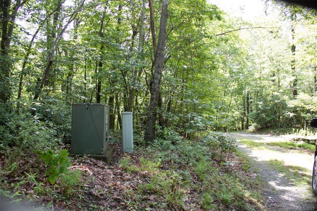 5 Walnut Ridge Road, Unit 5 Brevard, NC 28712 - Photo 4 of 30 Gallery Image 4