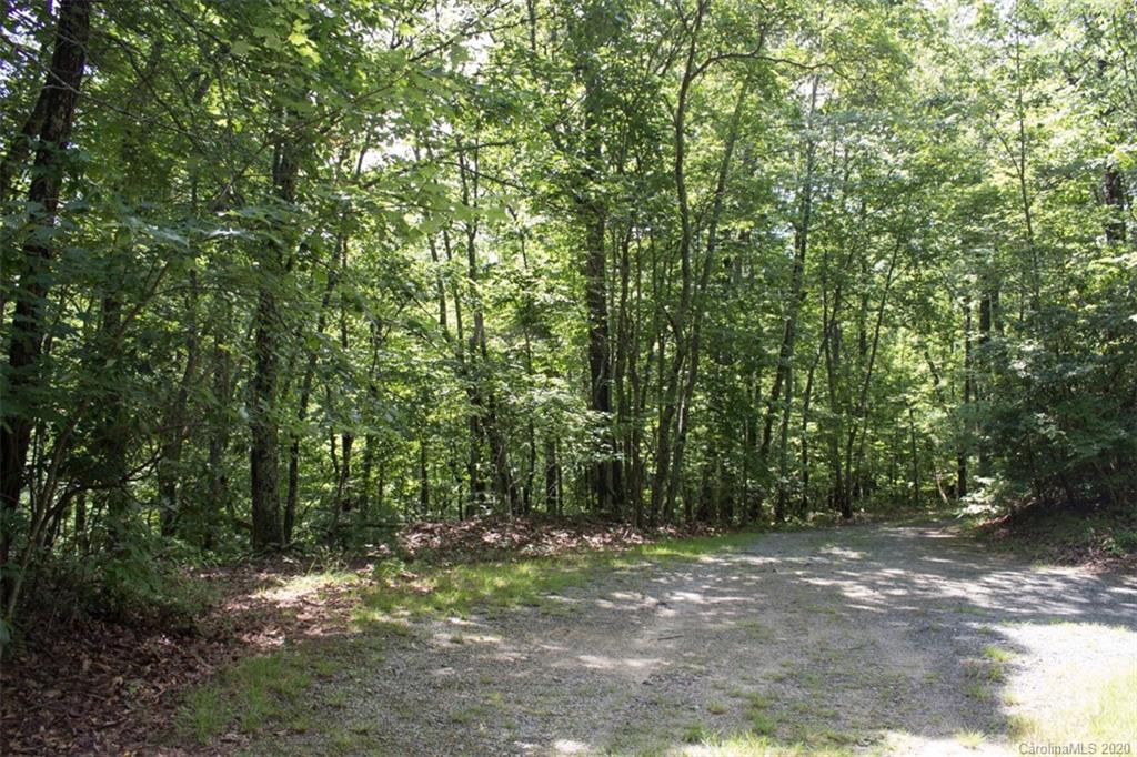 5 Walnut Ridge Road, Unit 5 Brevard, NC 28712 - Photo 6 of 30 Gallery Image 6