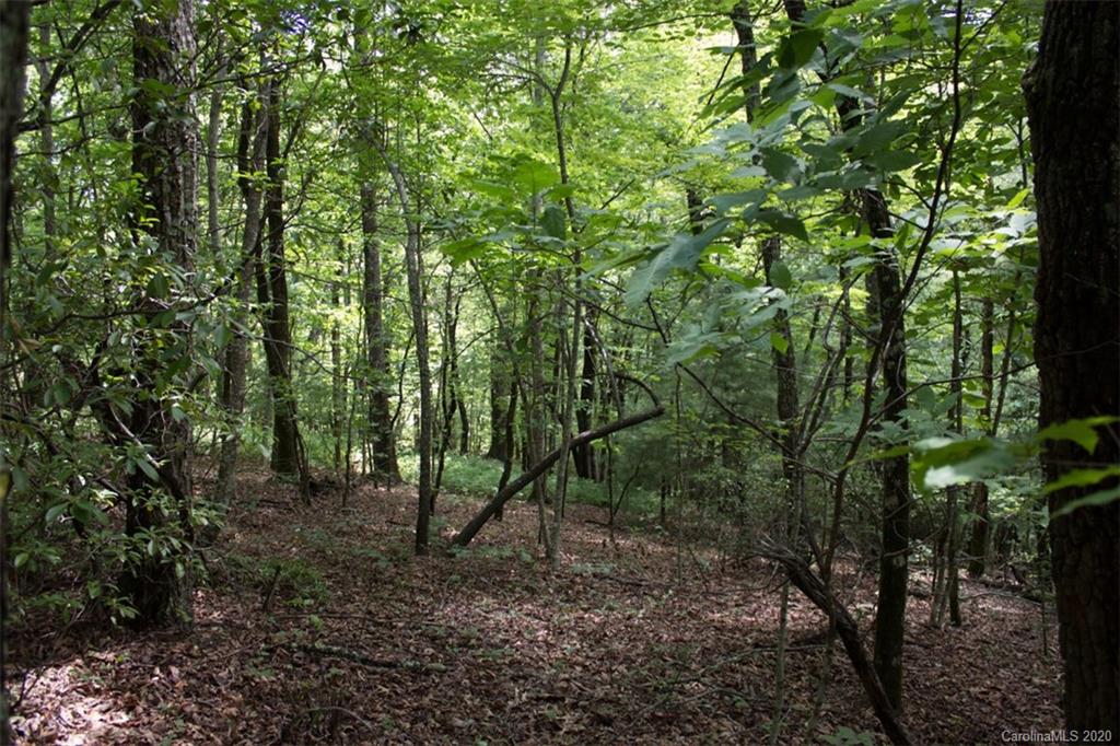 5 Walnut Ridge Road, Unit 5 Brevard, NC 28712 - Photo 9 of 30 Gallery Image 9