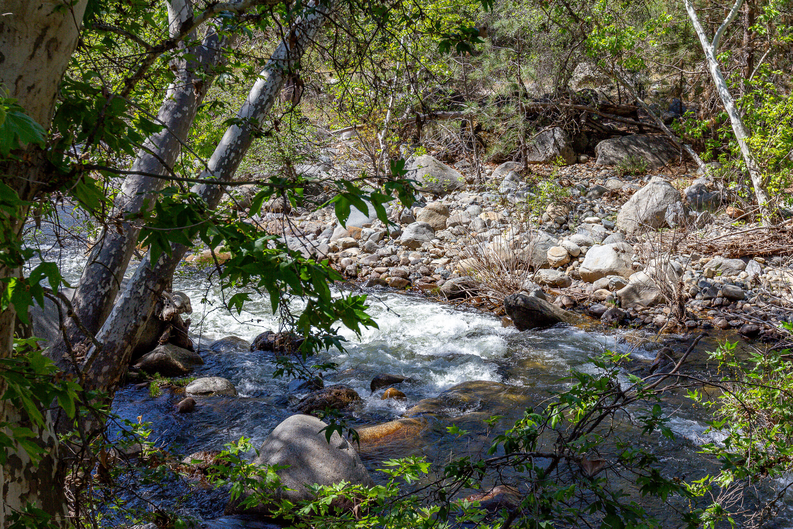 47993 North Fork Drive Three Rivers, CA 93271 - Photo 12 of 46 IMG_1997