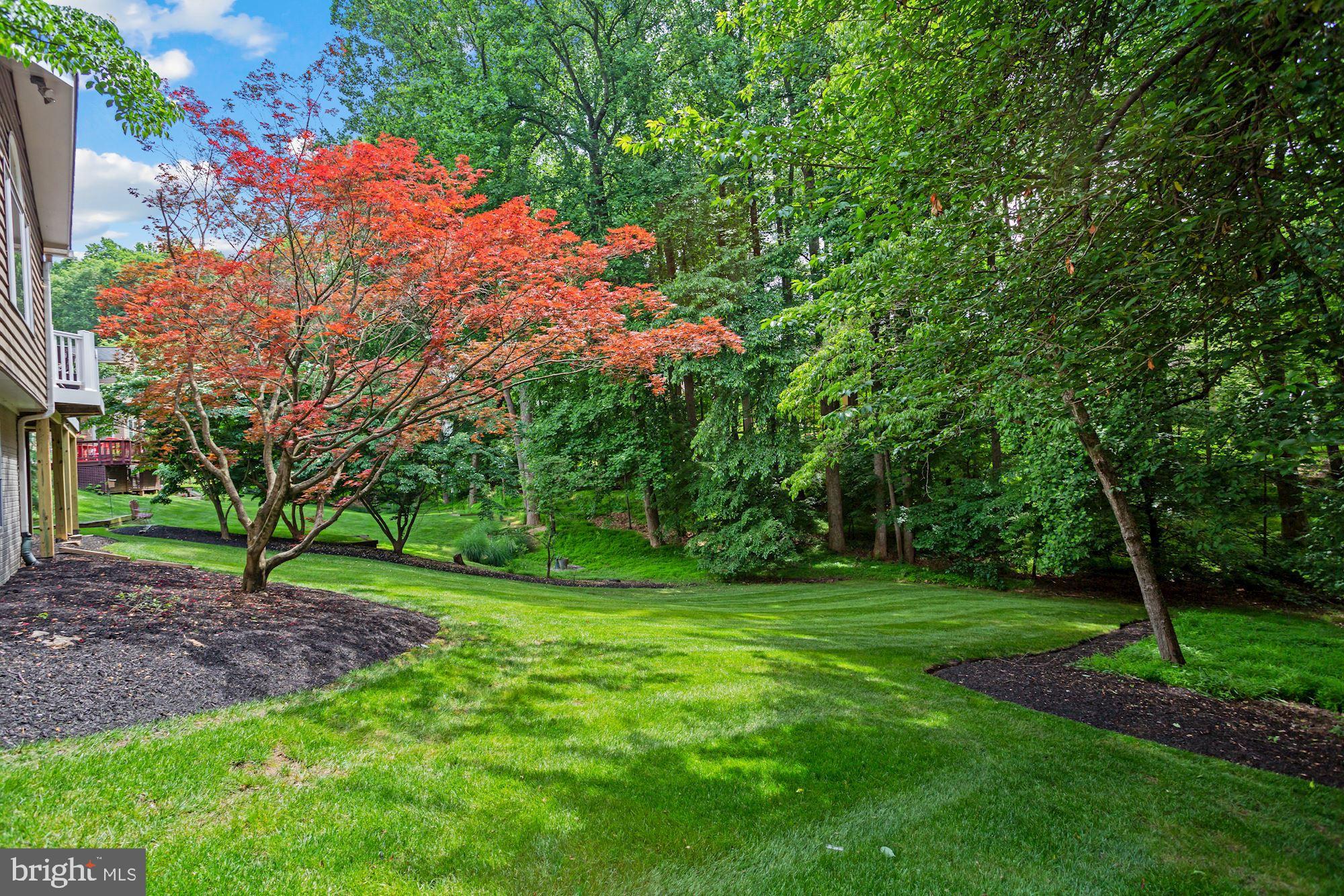 1804 Batten Hollow Road Vienna, VA 22182 - Photo 74 of 74 Gallery Image 74