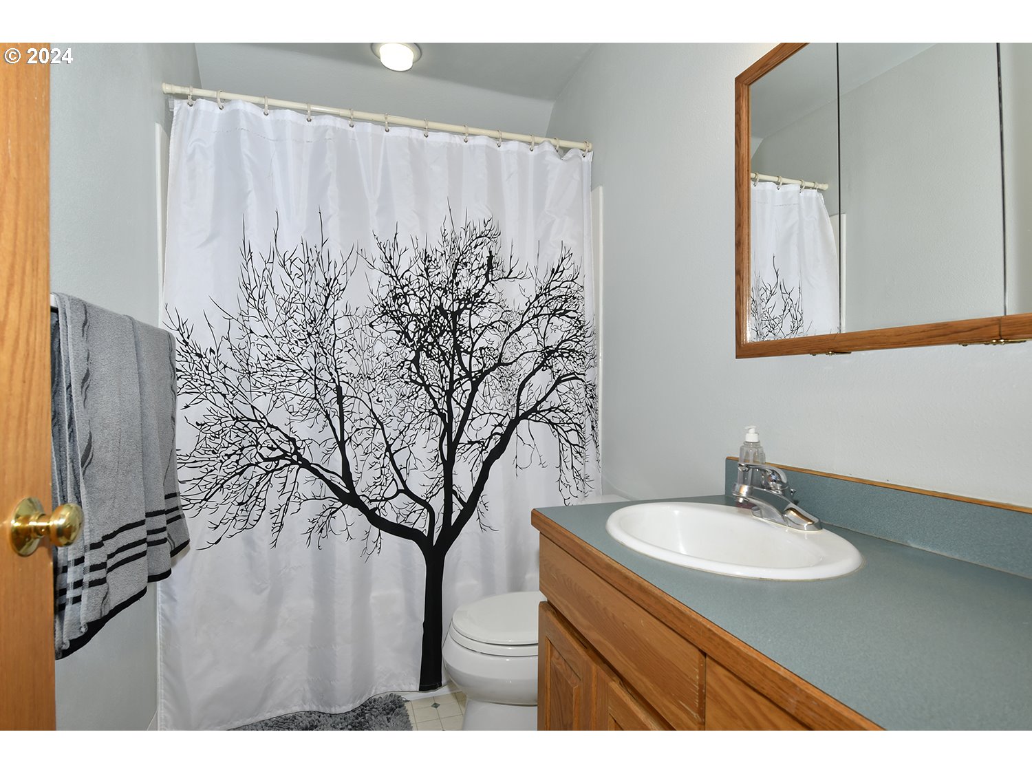 31955 Southeast Compton Road Boring, OR 97009 - Photo 13 of 48 a bathroom with a sink and a mirror