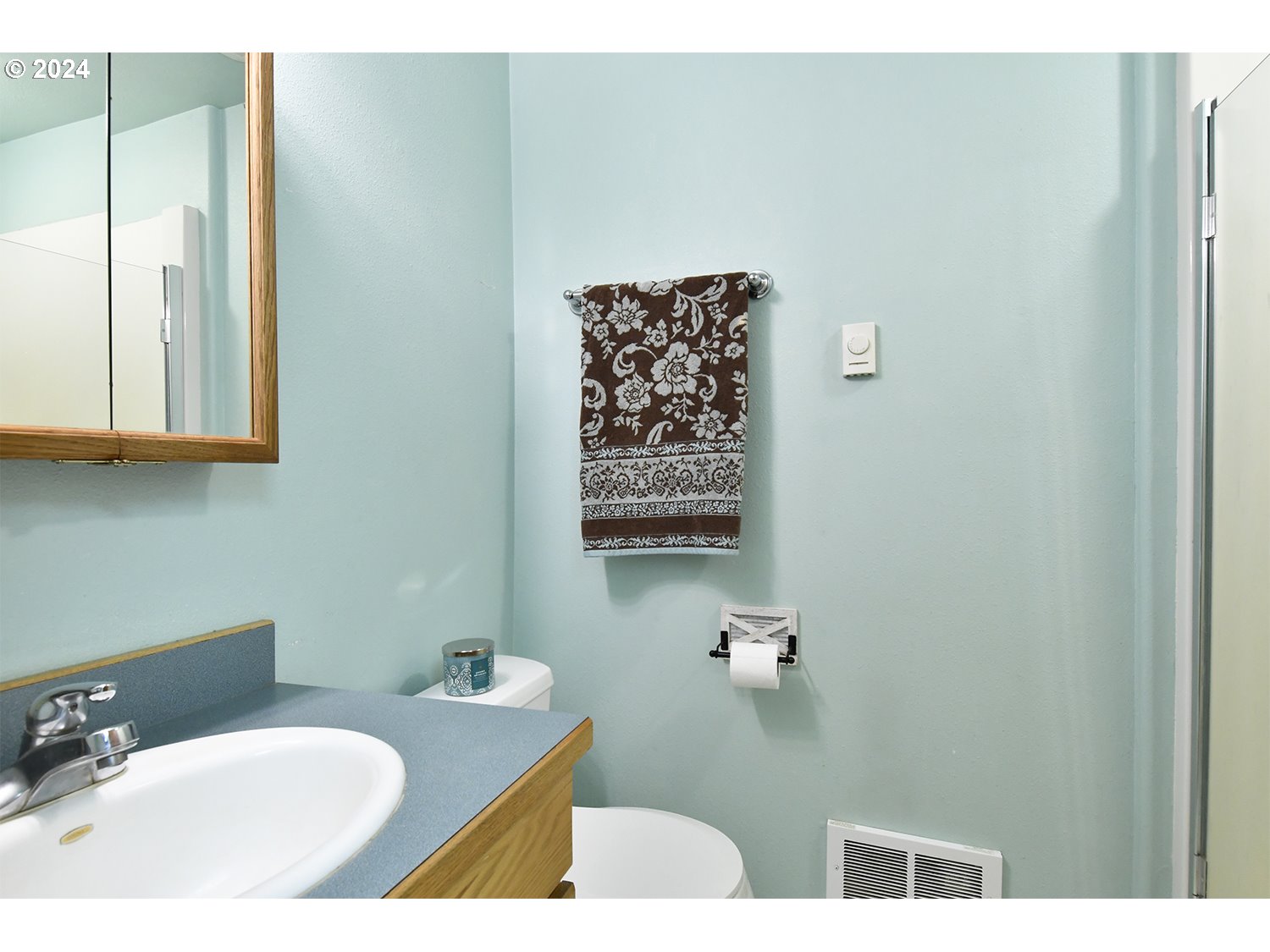31955 Southeast Compton Road Boring, OR 97009 - Photo 22 of 48 a bathroom with a sink and a mirror