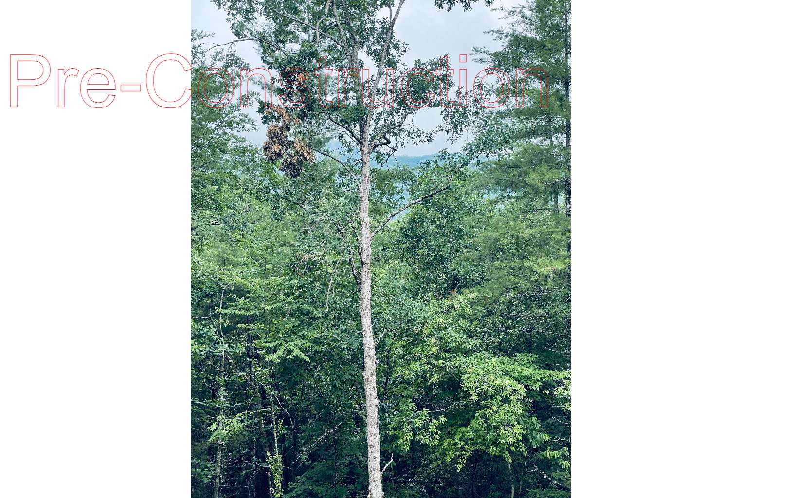 136 Roberts Rdg Lane Murphy, NC 28906 - Photo 8 of 8 Additional View