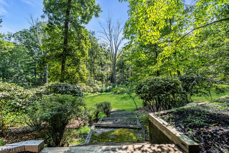 176 Rolling Hill Road Skillman, NJ 08558 - Photo 45 of 49
