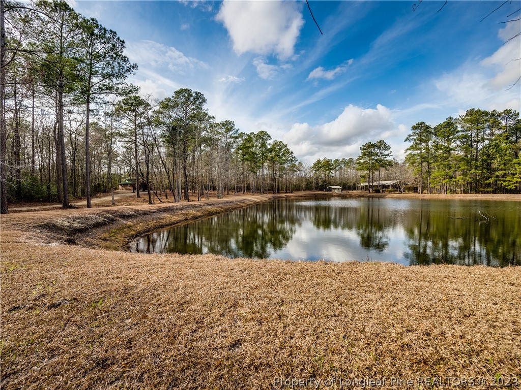2947 Smith Mill Road Lumberton, NC 28358 - Photo 36 of 50 a view of lake
