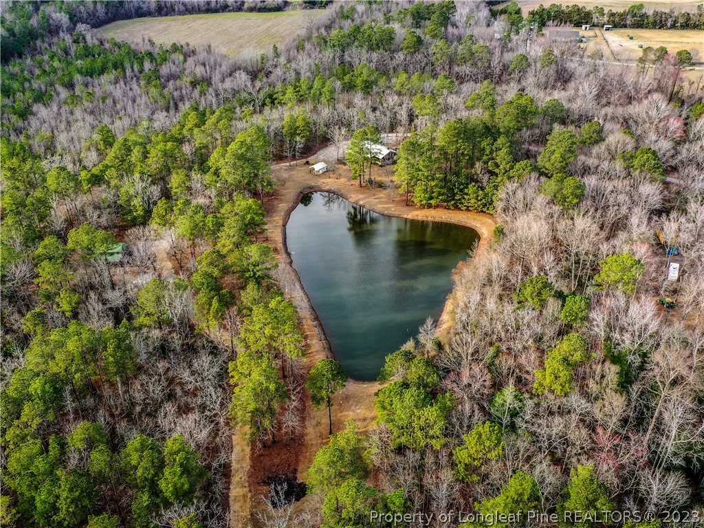 2947 Smith Mill Road Lumberton, NC 28358 - Photo 37 of 50 a view of a garden with a lake