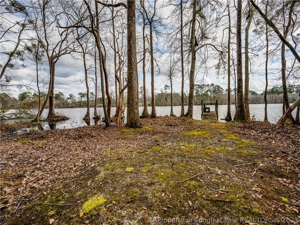 2947 Smith Mill Road Lumberton, NC 28358 - Photo 39 of 50 a view of a backyard with large trees