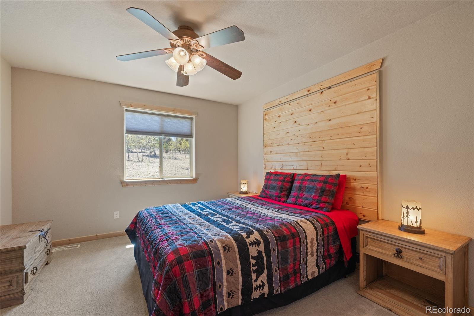 1948 Wagon Wheel Road Hartsel, CO 80449 - Photo 29 of 38