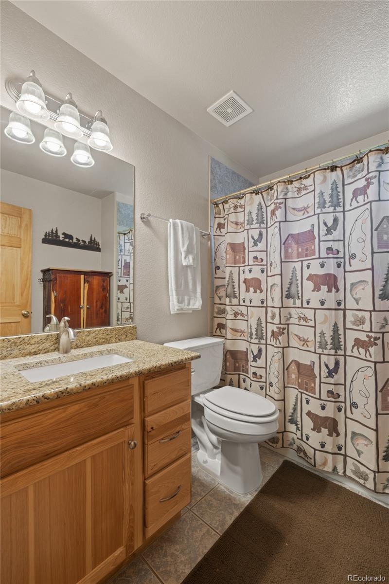 1948 Wagon Wheel Road Hartsel, CO 80449 - Photo 31 of 38