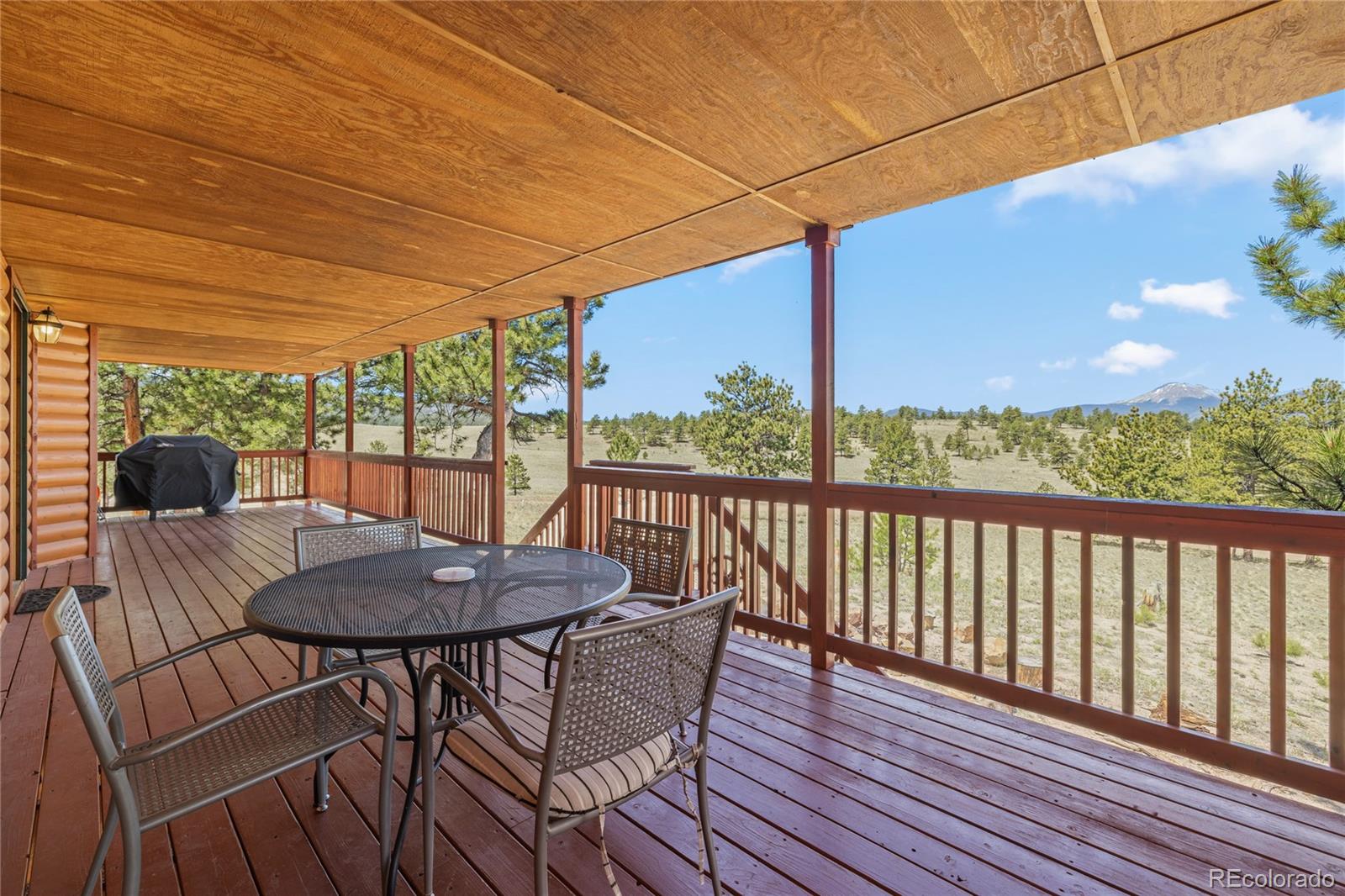 1948 Wagon Wheel Road Hartsel, CO 80449 - Photo 6 of 38