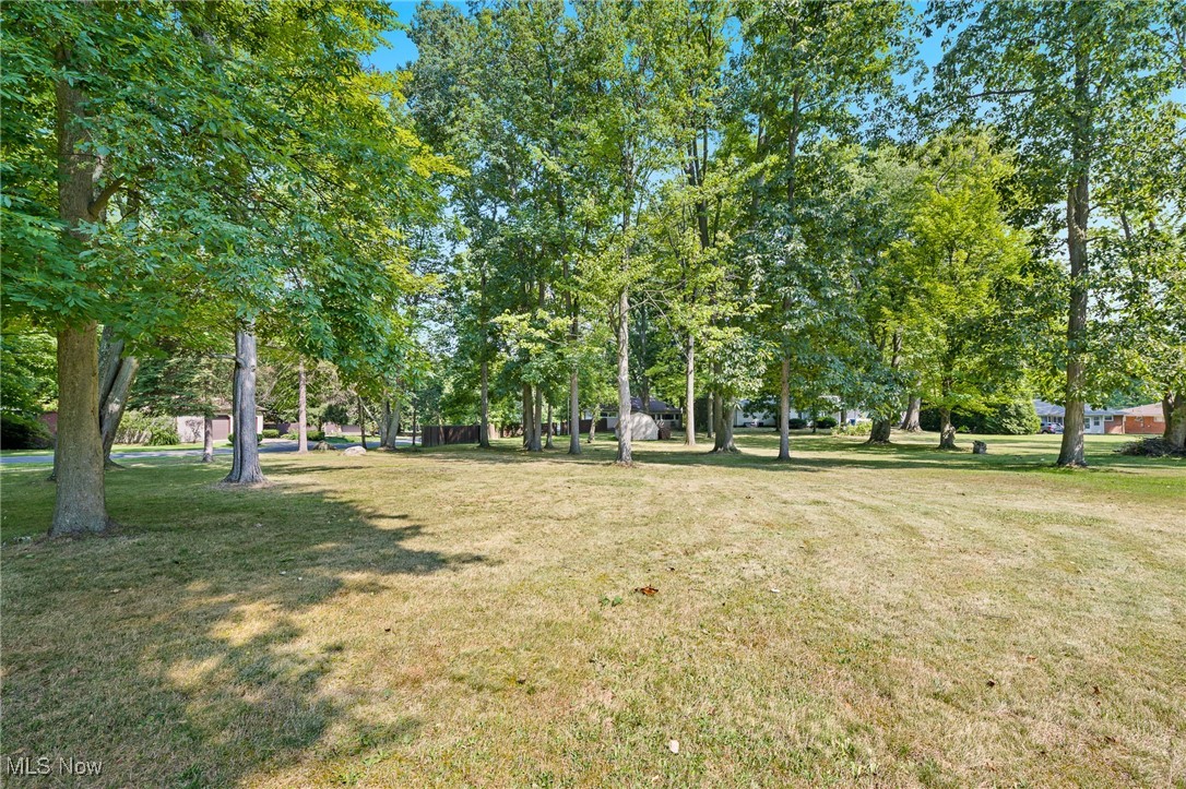 718 Fairwood Road Akron, OH 44319 - Photo 13 of 15 View of community with a yard