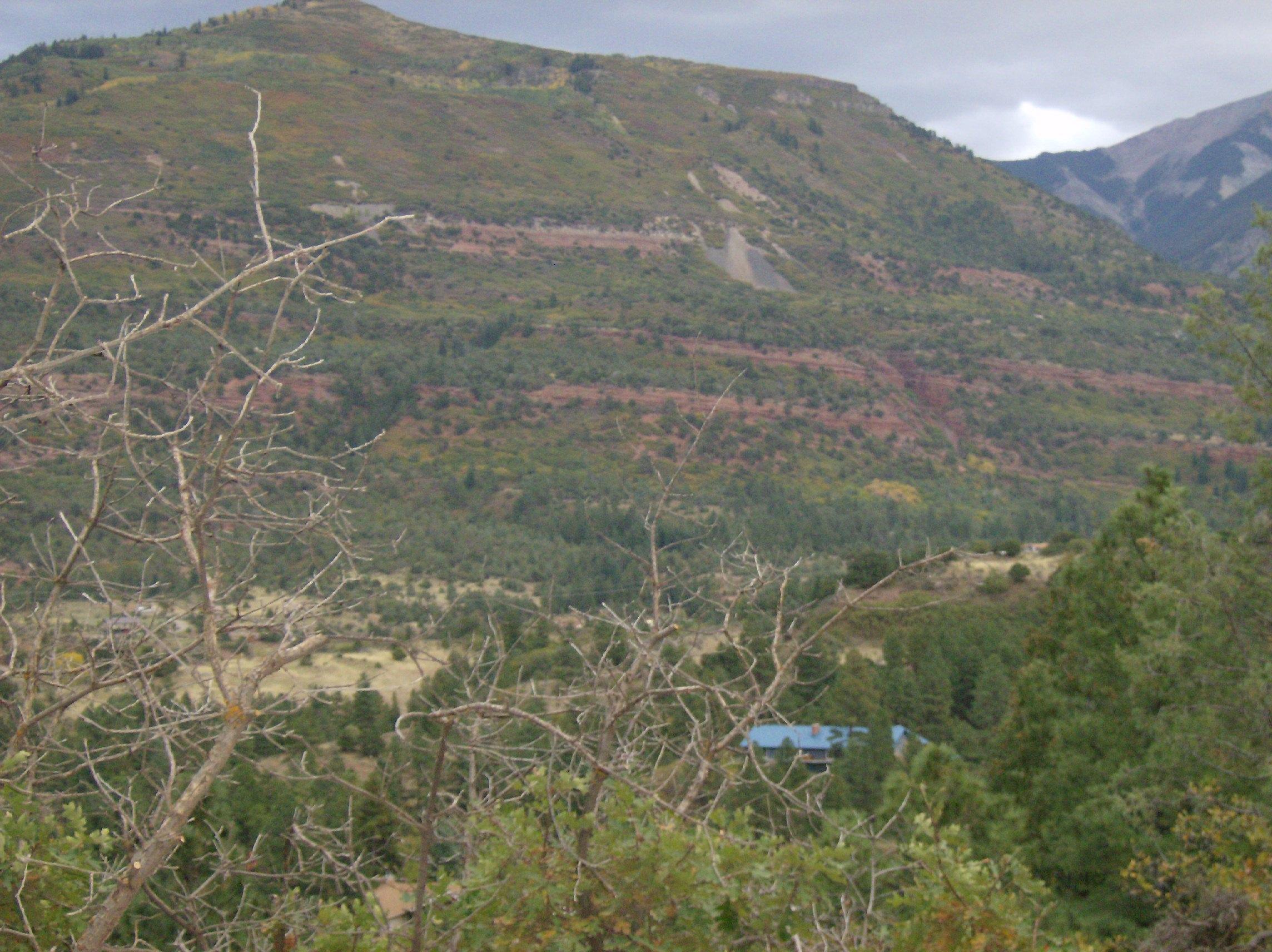 202 Elk Ridge Trail Ridgway, CO 81432 - Photo 3 of 8 HPIM0936