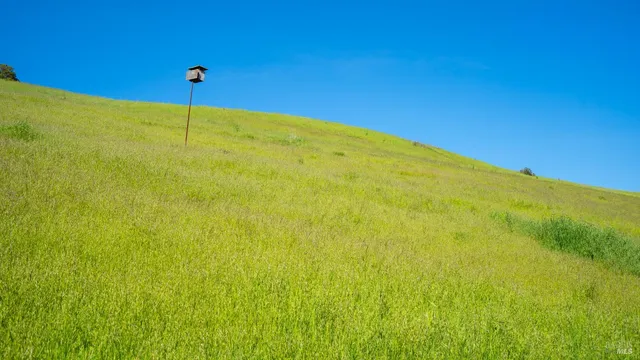 a sign that is on the side of the road