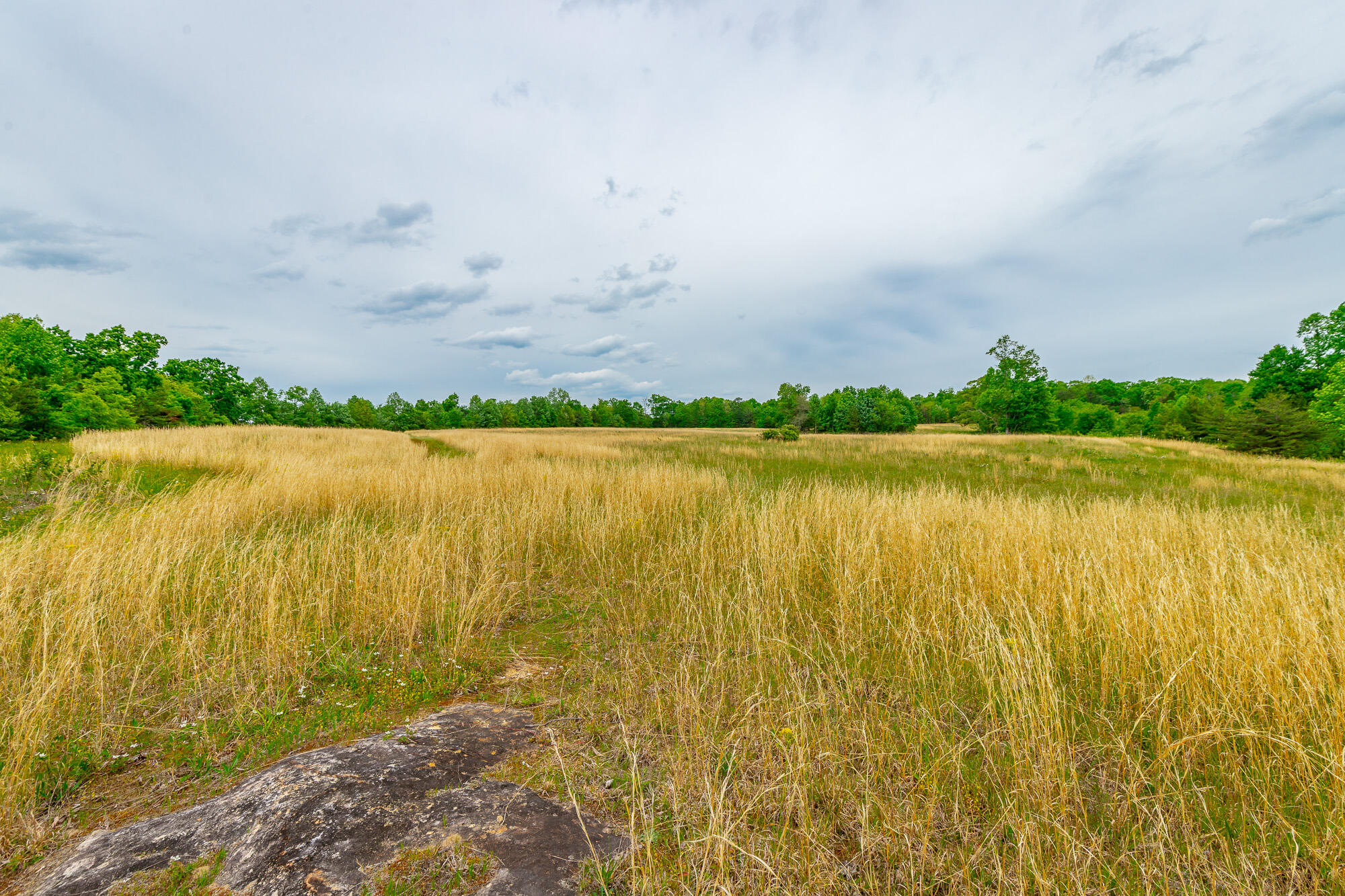 0 Ray Gadd Road Graysville, TN 37338 - Photo 6 of 109 Ray Gadd Road Lot HD-8