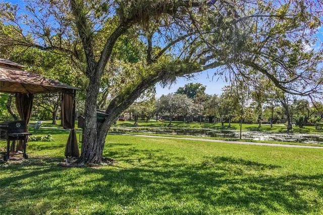 a view of a backyard with large trees