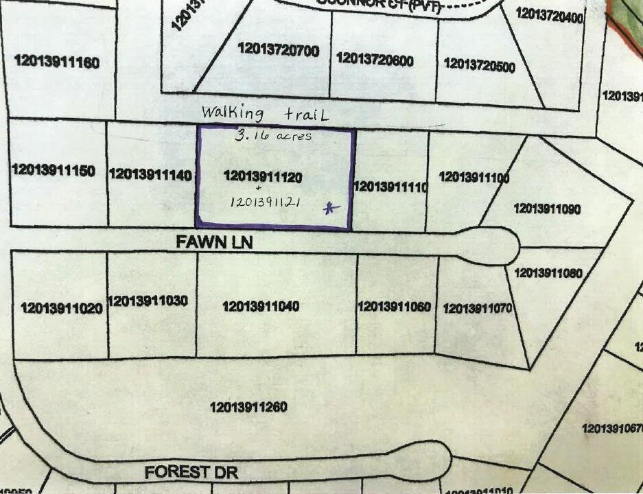 Lt1 Fawn Lane Hancock, WI 54943 - Photo 16 of 16 Fawn Ln plat map