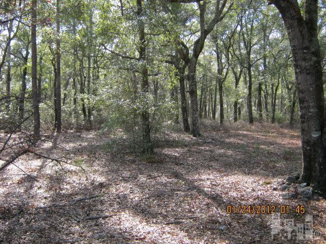 723 Cathay Road Wilmington, NC 28412 - Photo 7 of 7 Additional Photo