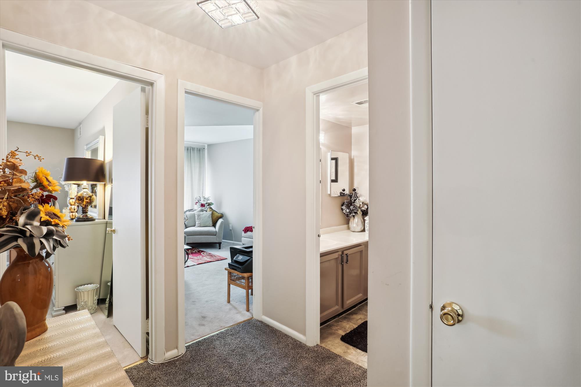 2501 Baltimore Road, Unit 4 Rockville, MD 20853 - Photo 15 of 41 Hallway