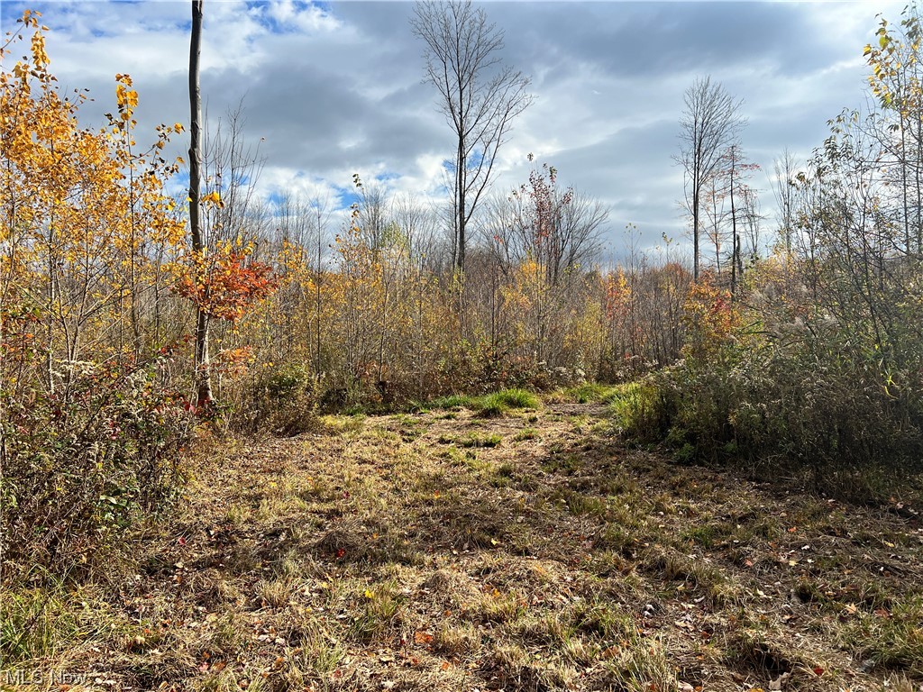 6 Us Route Pierpont, OH 44082 - Photo 27 of 32 View of nature