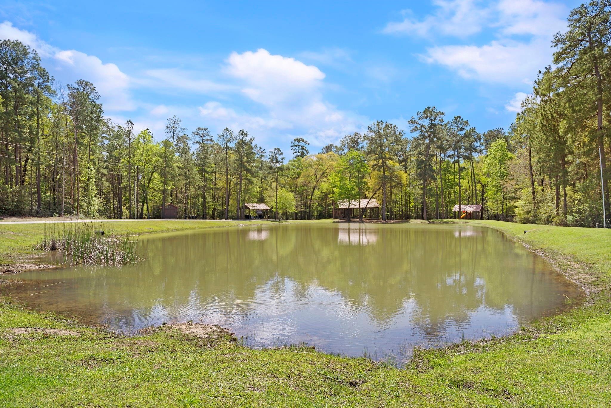 244 Remington Road Huntsville, TX 77340 - Photo 10 of 16