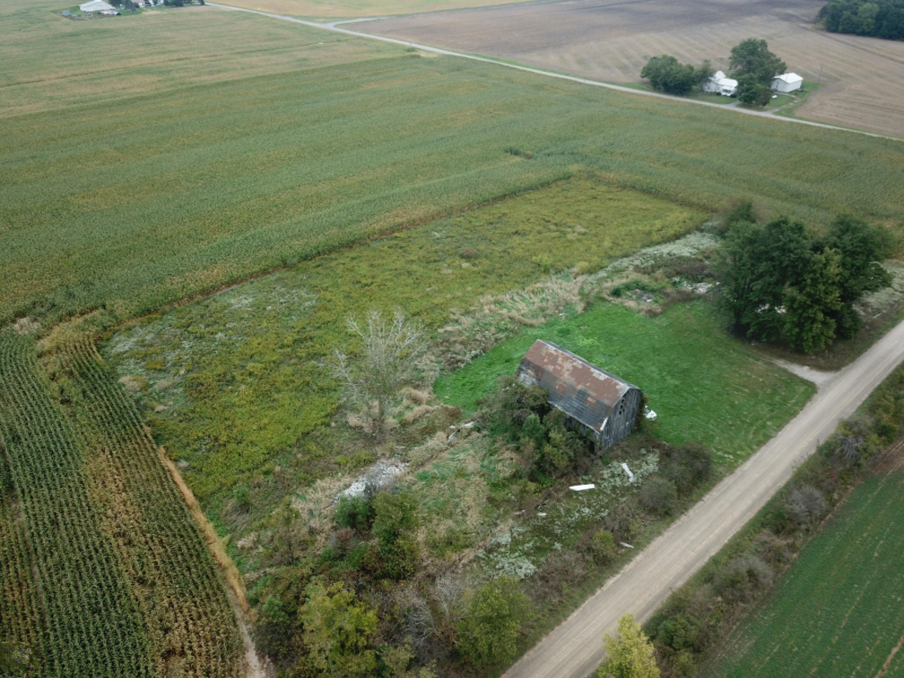 9920 Buckeye Road Waldron, MI 49288 - Photo 1 of 18 DJI_0005