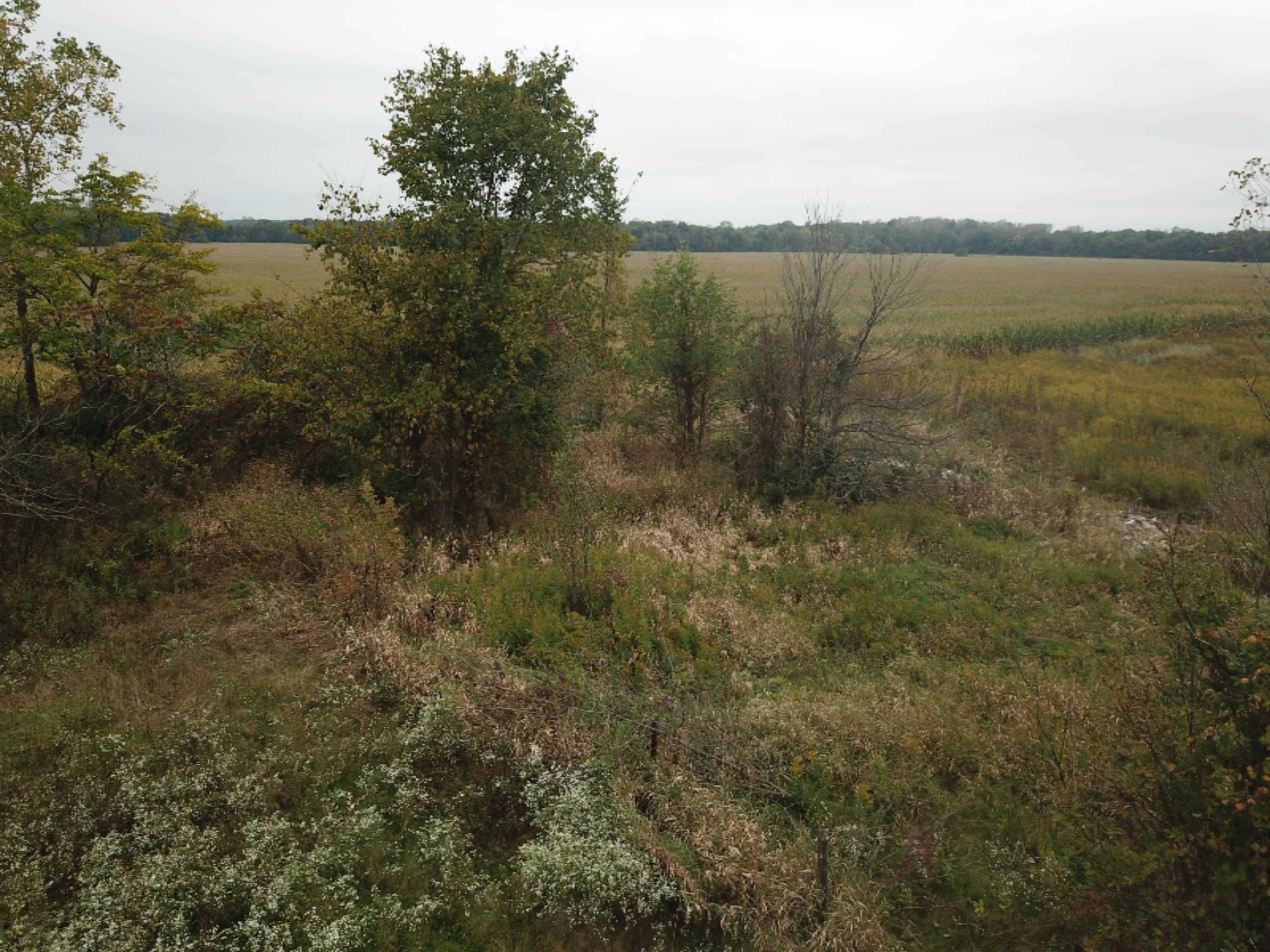 9920 Buckeye Road Waldron, MI 49288 - Photo 11 of 18 DJI_0012