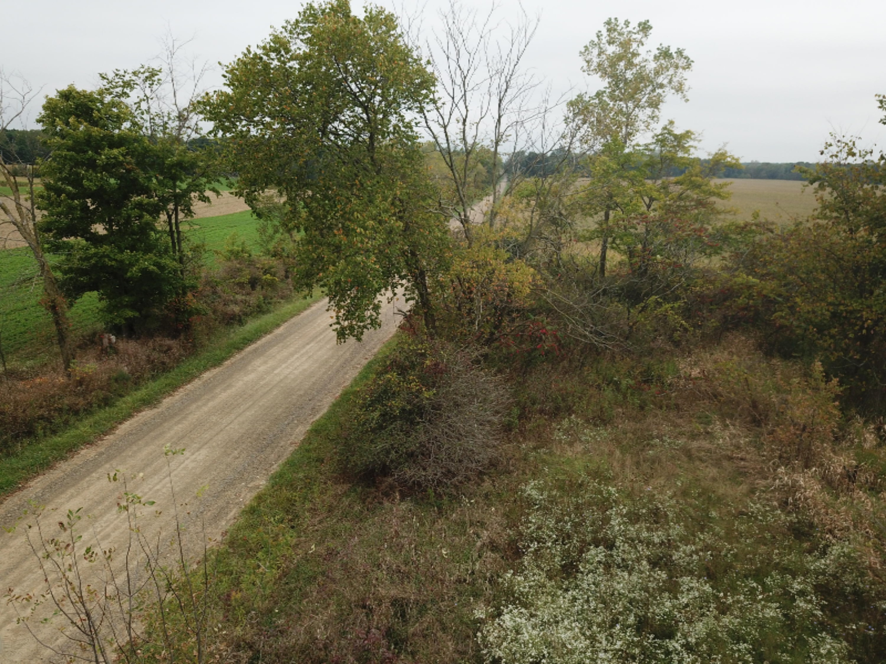 9920 Buckeye Road Waldron, MI 49288 - Photo 12 of 18 DJI_0013