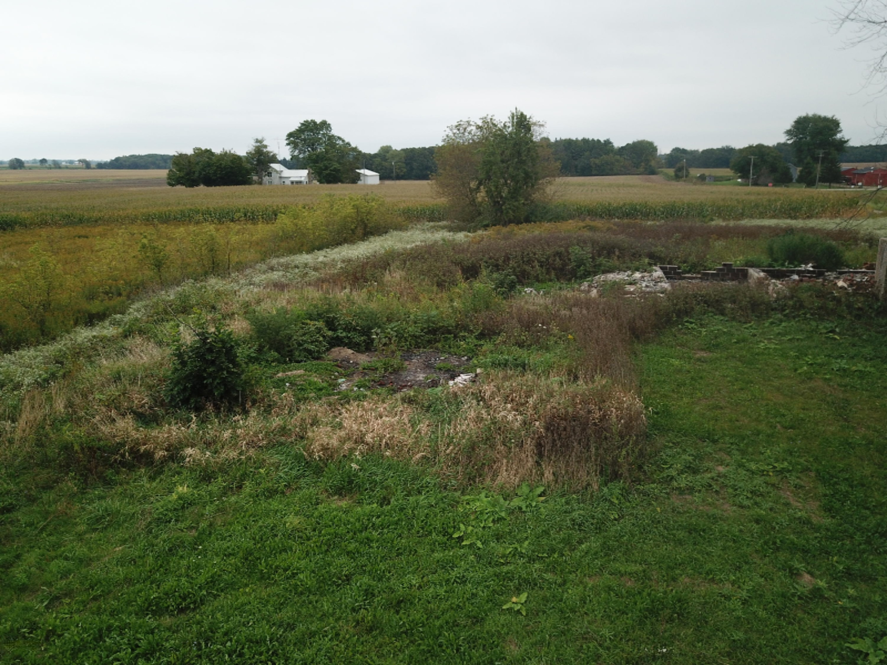 9920 Buckeye Road Waldron, MI 49288 - Photo 13 of 18 DJI_0014