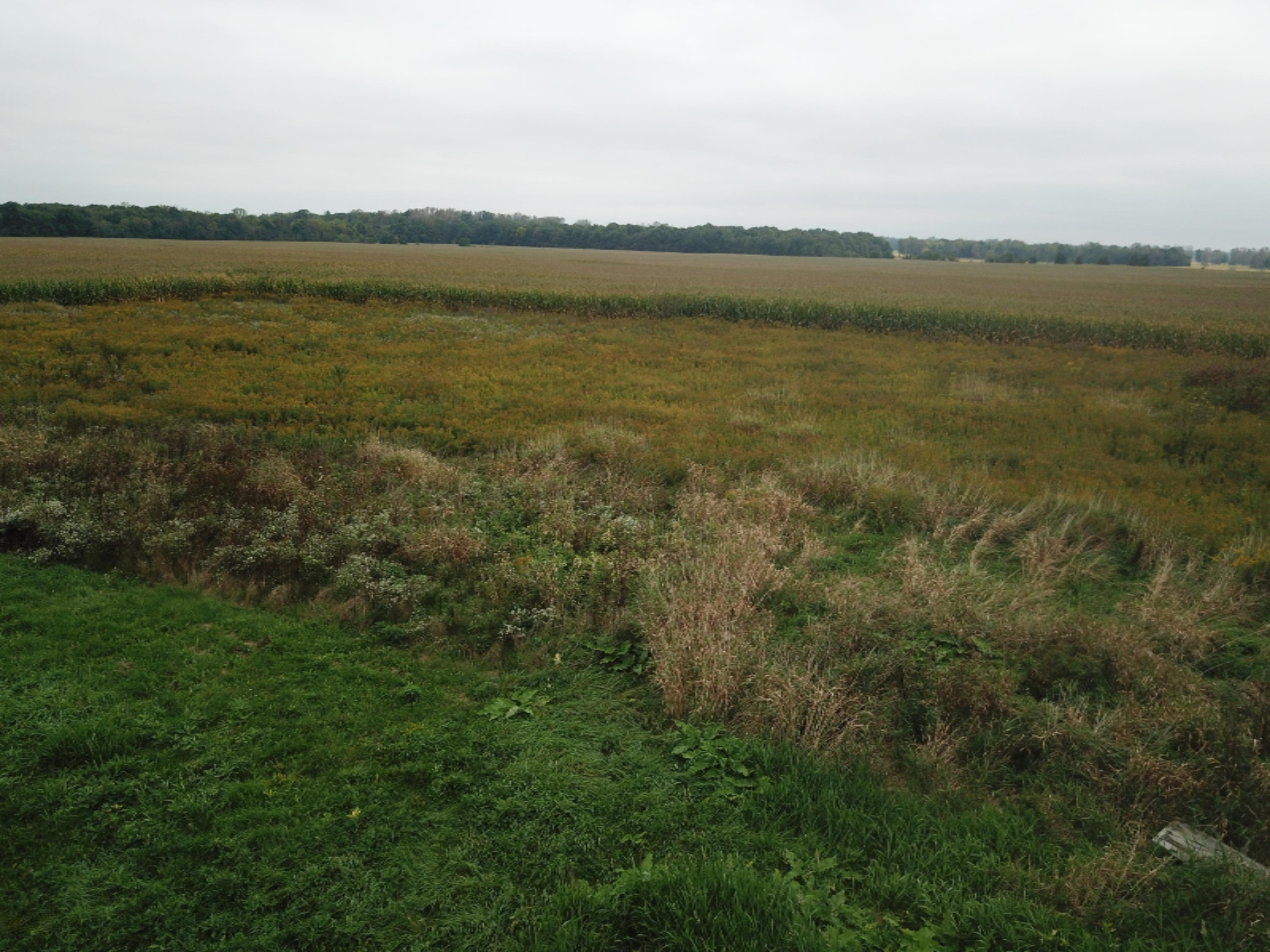 9920 Buckeye Road Waldron, MI 49288 - Photo 14 of 18 DJI_0015