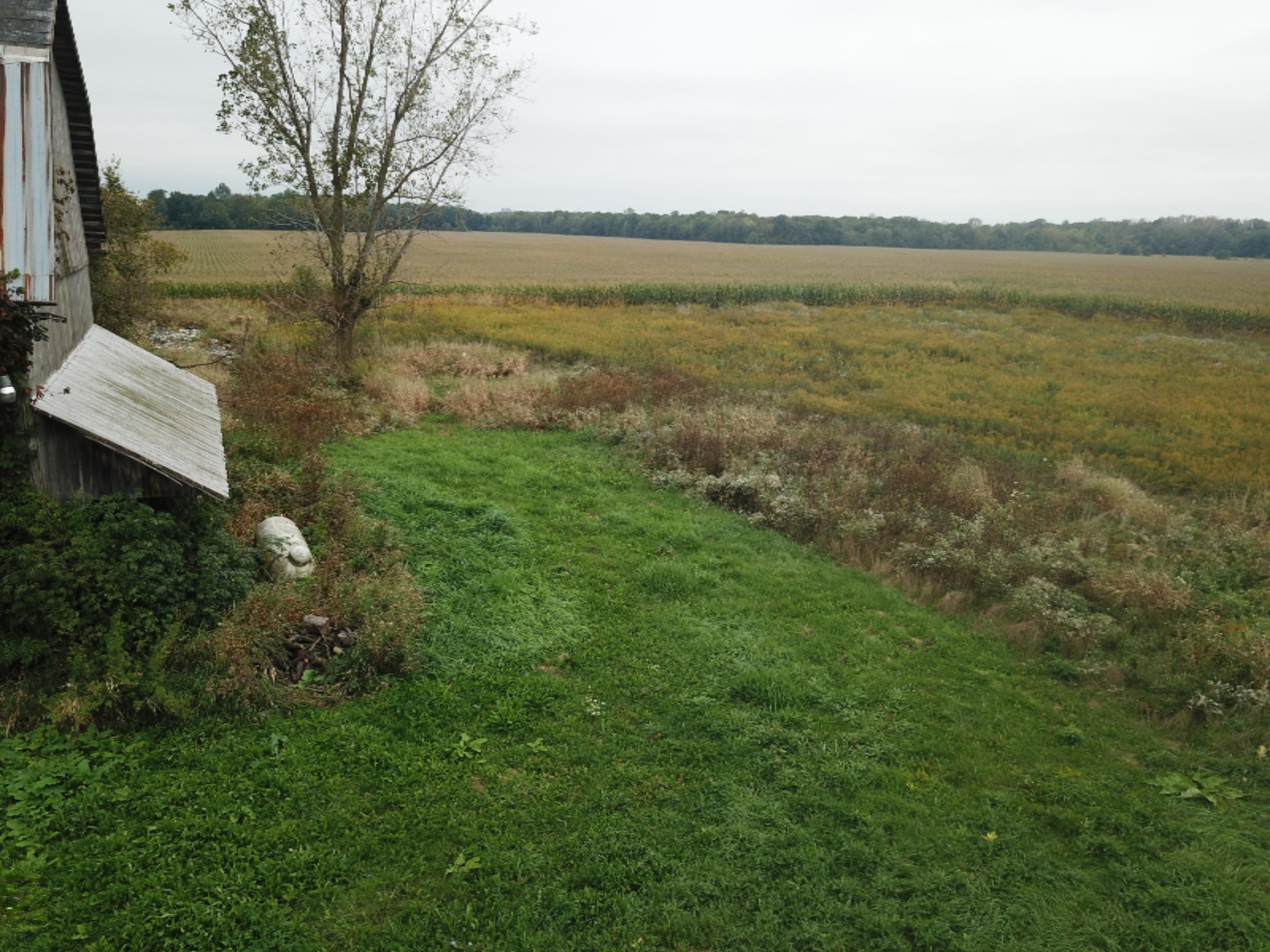 9920 Buckeye Road Waldron, MI 49288 - Photo 15 of 18 DJI_0016