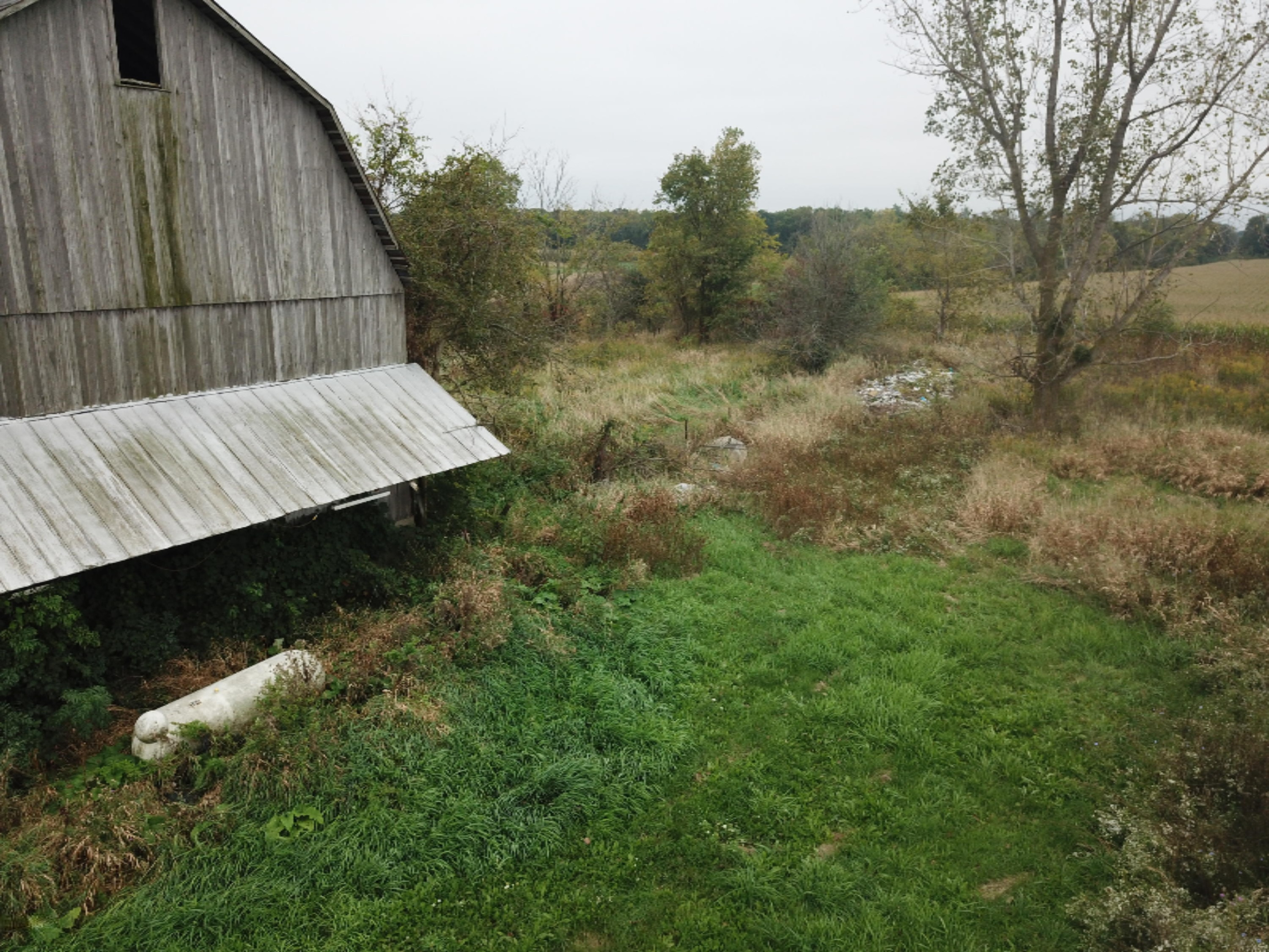 9920 Buckeye Road Waldron, MI 49288 - Photo 16 of 18 DJI_0017