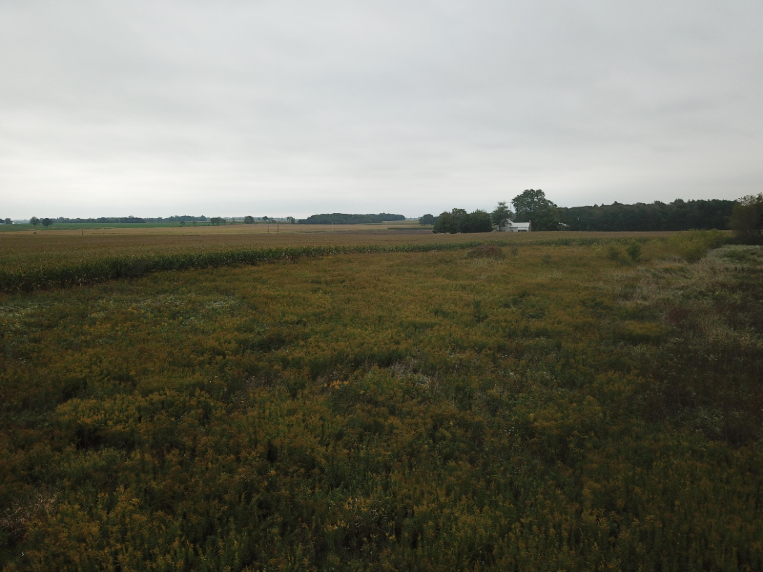 9920 Buckeye Road Waldron, MI 49288 - Photo 17 of 18 DJI_0018