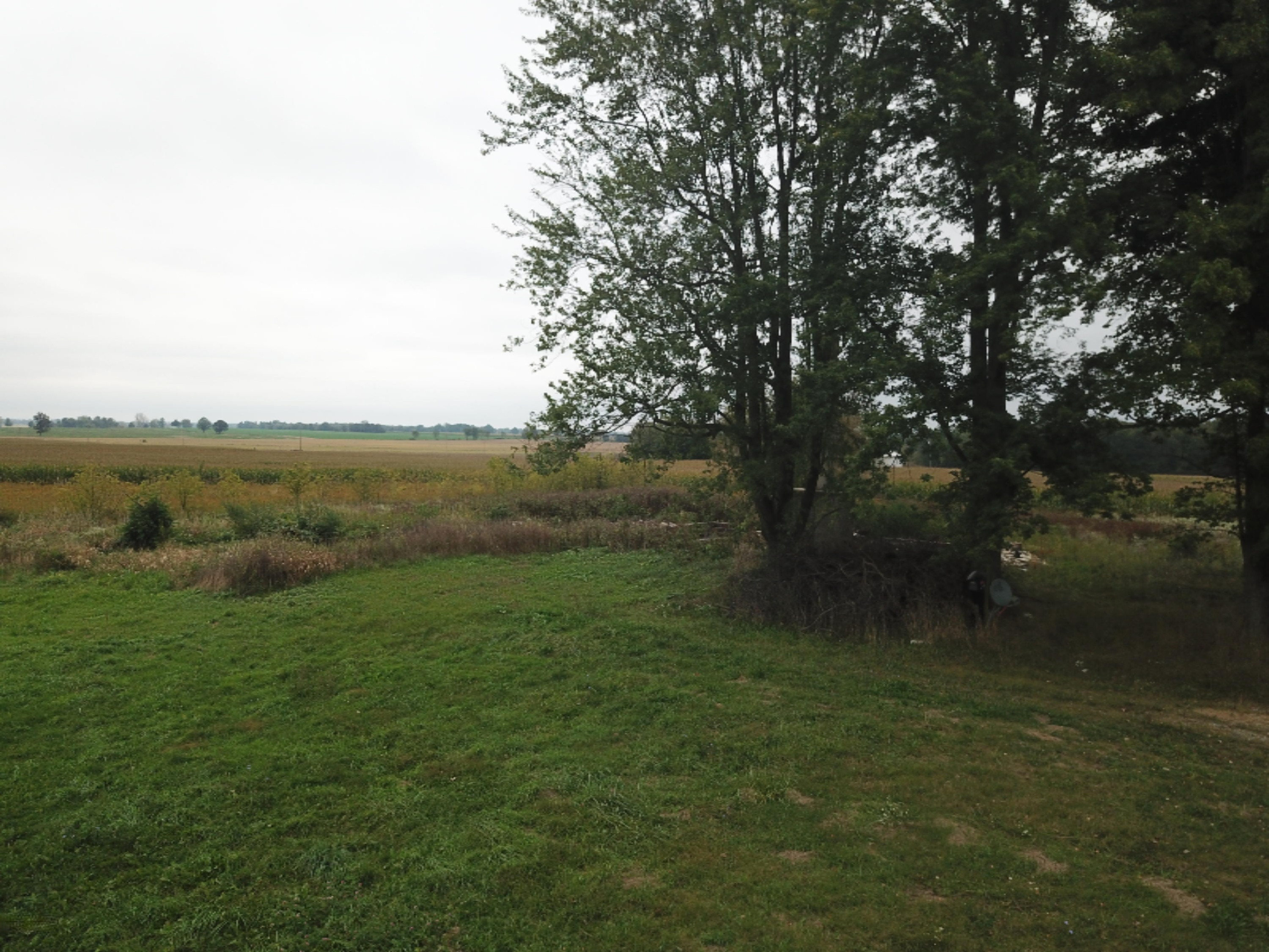 9920 Buckeye Road Waldron, MI 49288 - Photo 7 of 18 DJI_0008