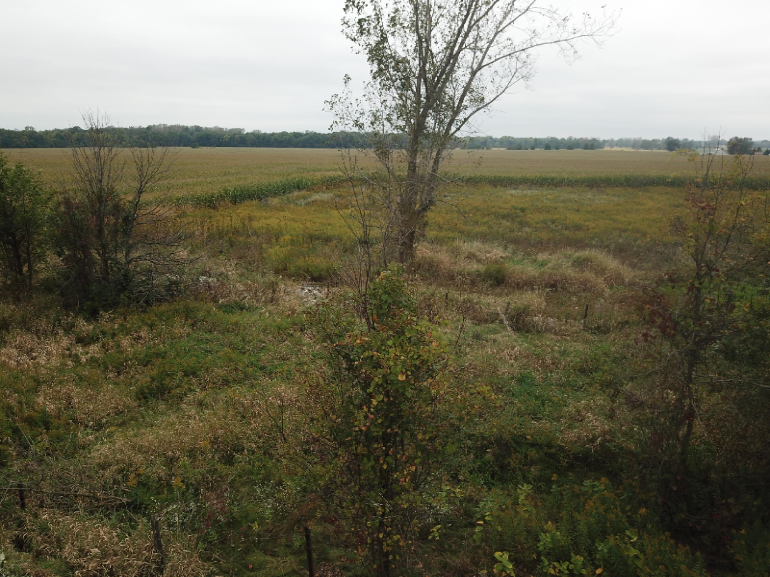 9920 Buckeye Road Waldron, MI 49288 - Photo 10 of 18 DJI_0011