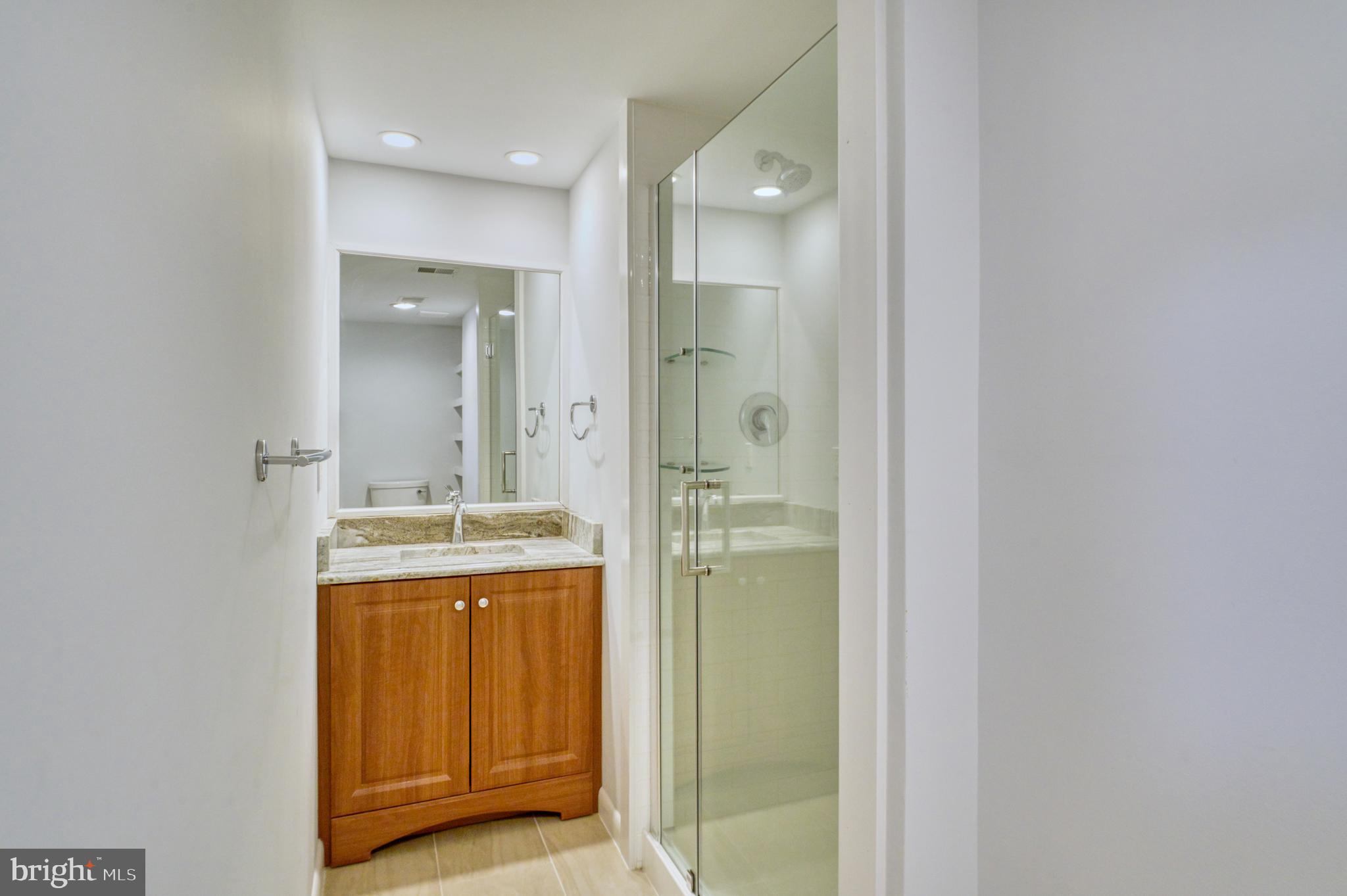 2374 Generation Drive Reston, VA 20191 - Photo 36 of 73 Lower Level Luxury Full Expanded Bathroom
