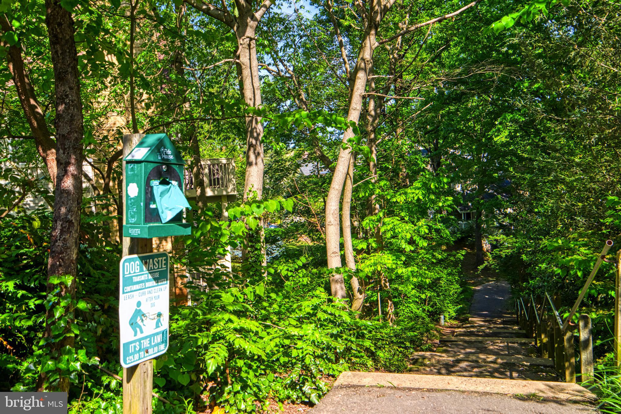 2374 Generation Drive Reston, VA 20191 - Photo 57 of 73 Trails