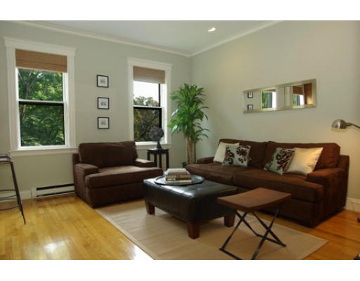 202 West Springfield Street, Unit 5 Boston, MA 02118 - Photo 1 of 7 Gallery Image 1